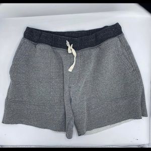 5.5 Chubbies sweatshorts